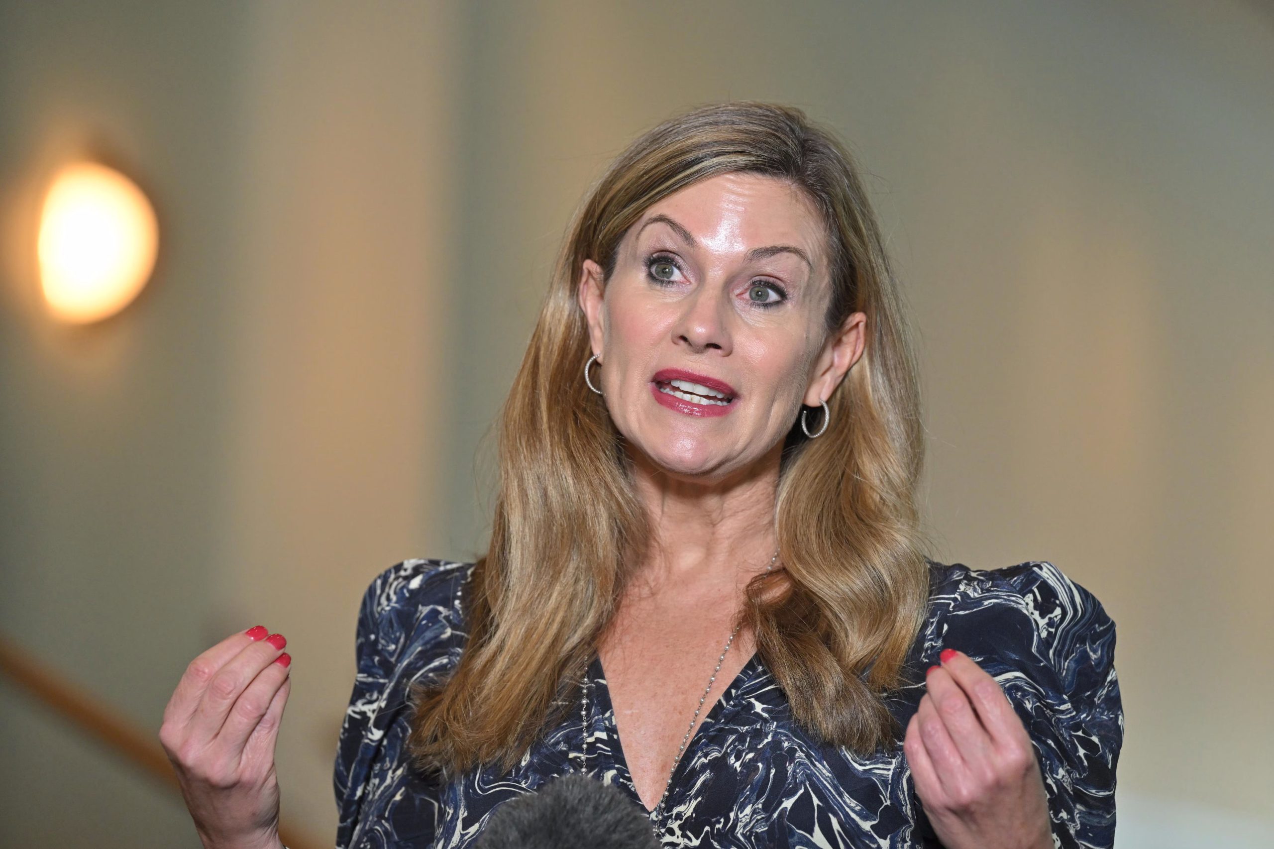 The Year They Fucked Up the Internet